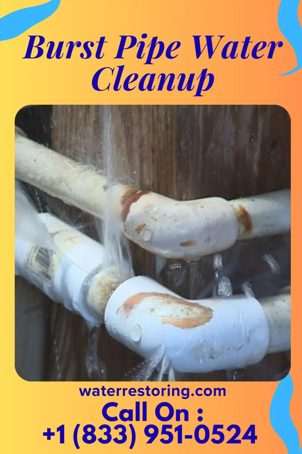 Burst Pipe Water Cleanup in Newton Hamilton, PA