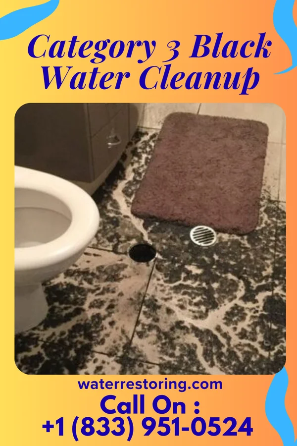 Category 3 Black Water Cleanup in Newton Hamilton, PA