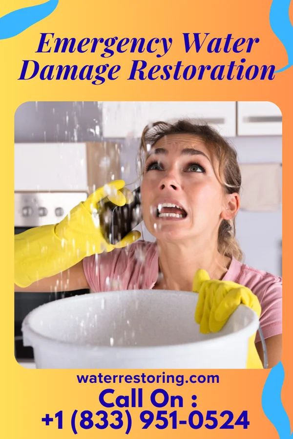 Emergency Water Damage Restoration in Newton Hamilton, PA