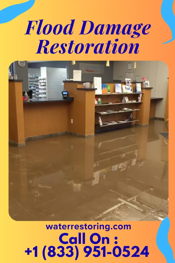 Flood Damage Restoration in Newton Hamilton, PA
