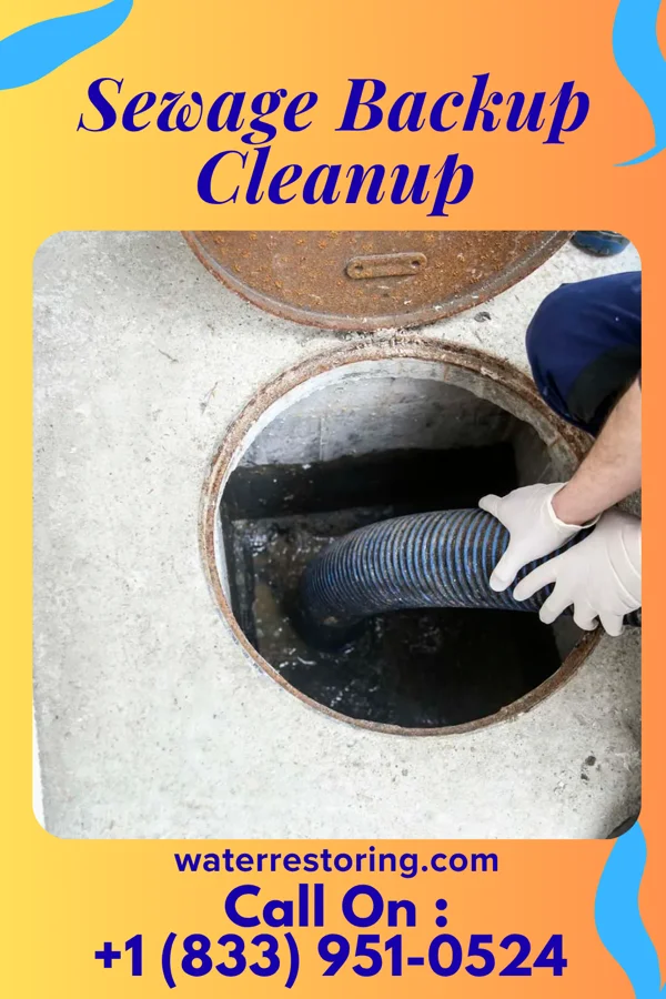 Sewage Backup Cleanup in Newton Hamilton, PA
