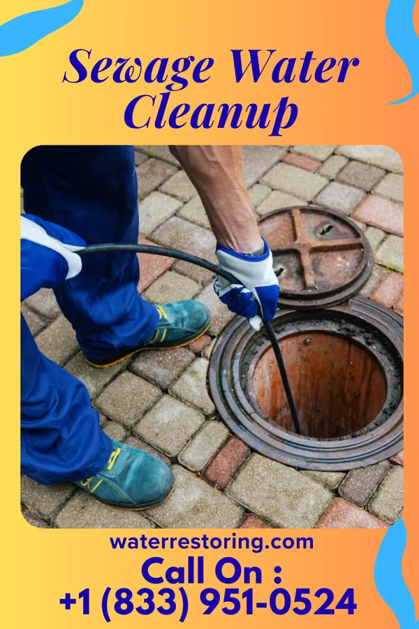 Sewage Water Cleanup in Newton Hamilton, PA