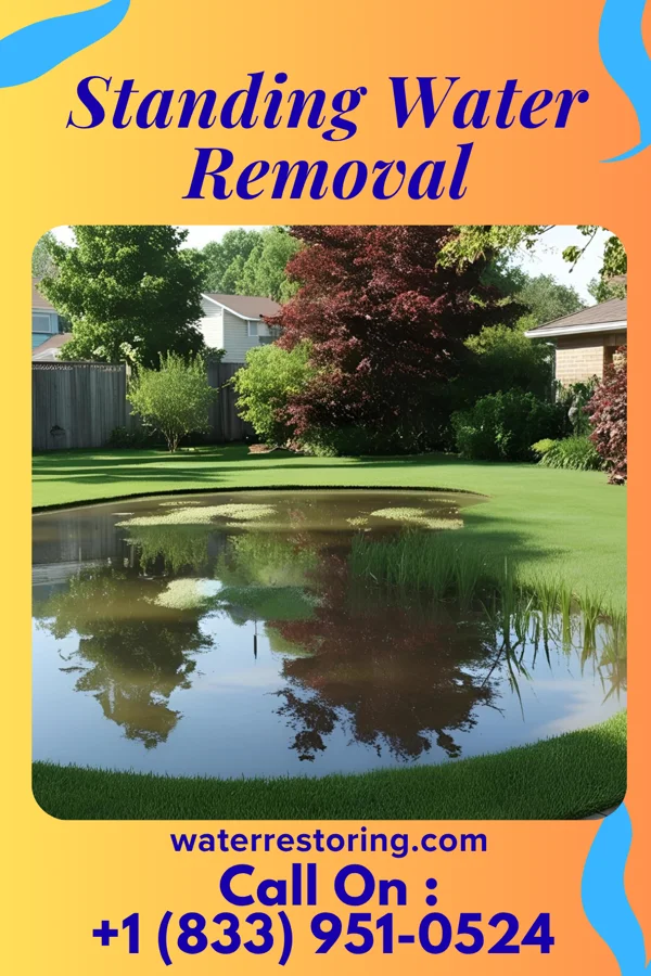 Standing Water Removal in Newton Hamilton, PA